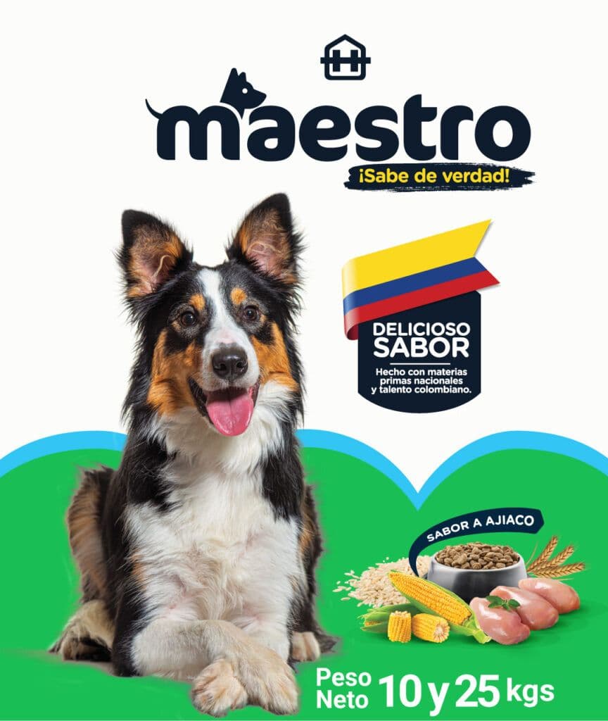 MAESTRO x 2 kg