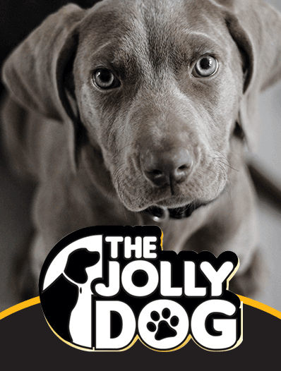 JOLLY DOG x 30Kg